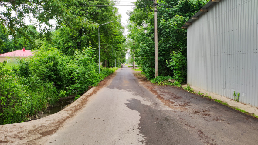 Тихая улица с зелеными деревьями в пригороде