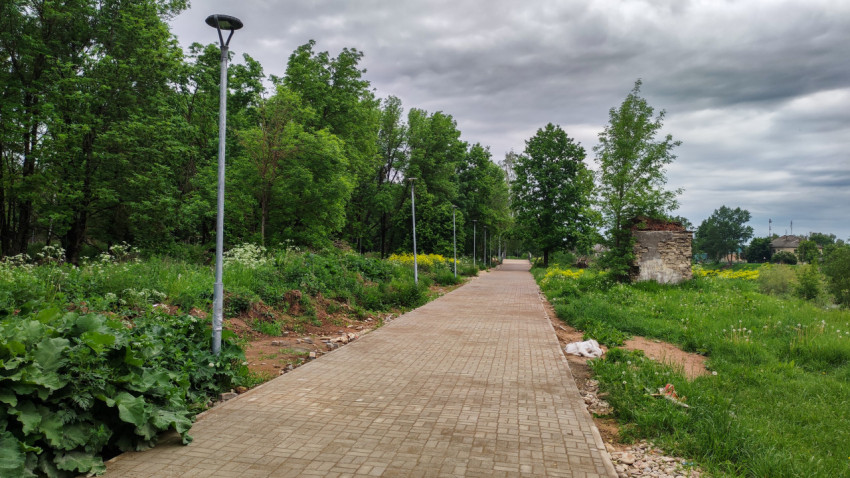 Узкая пешеходная дорожка среди зелени в парке весной