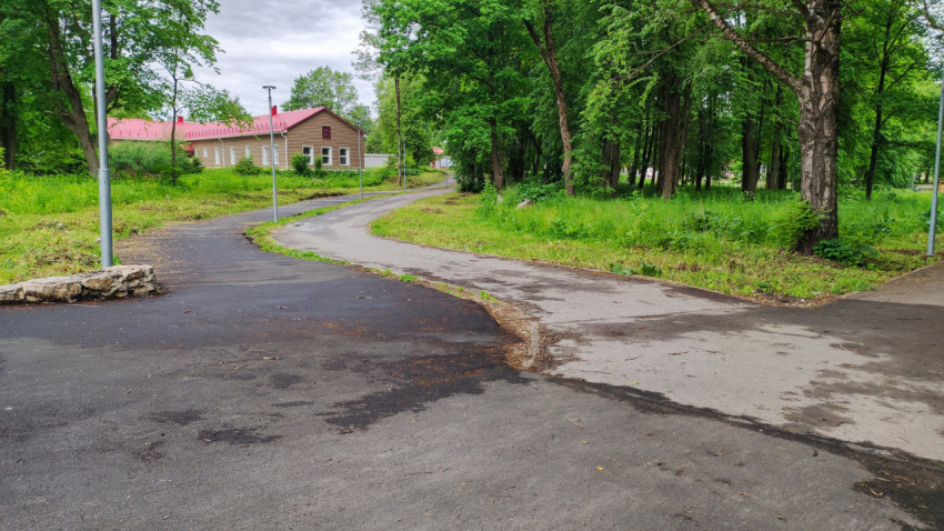 Лесная тропинка в парке