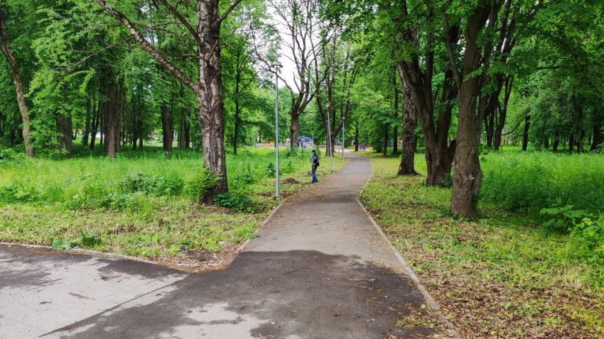 Городской парк с зелеными деревьями и тропинкой