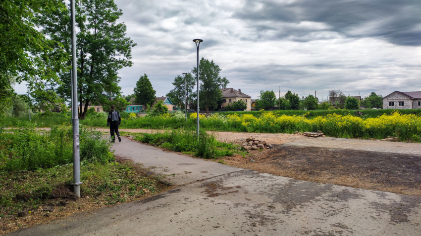 Пешеход на тропинке среди на фоне полевых цветов в деревне