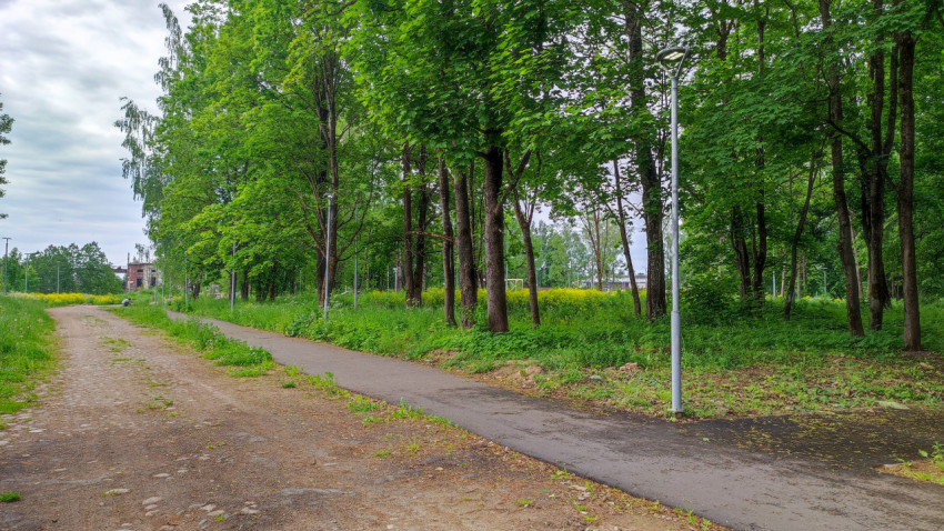 Прогулочная тропа в зеленом парке возле города