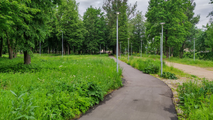 Тропинка среди зелени в городском парке