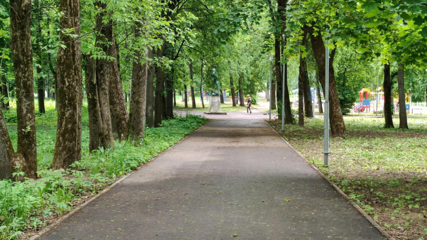 Спокойная аллея в городском парке с зелеными деревьями