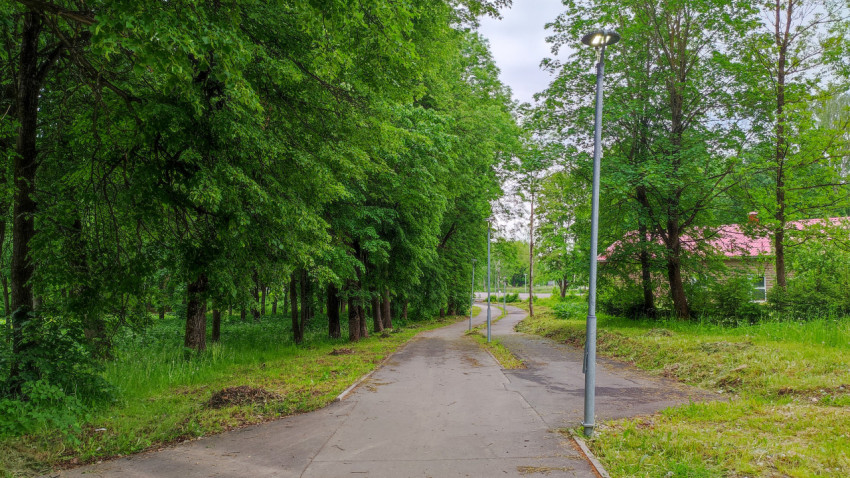 Прогулочная аллея в зелёном парке с уличными фонарями
