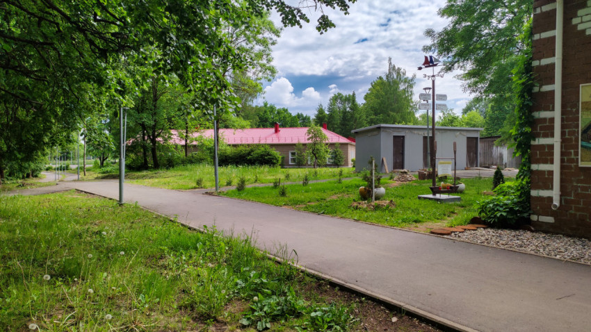 Спокойная прогулка по аллеям парка в летний день