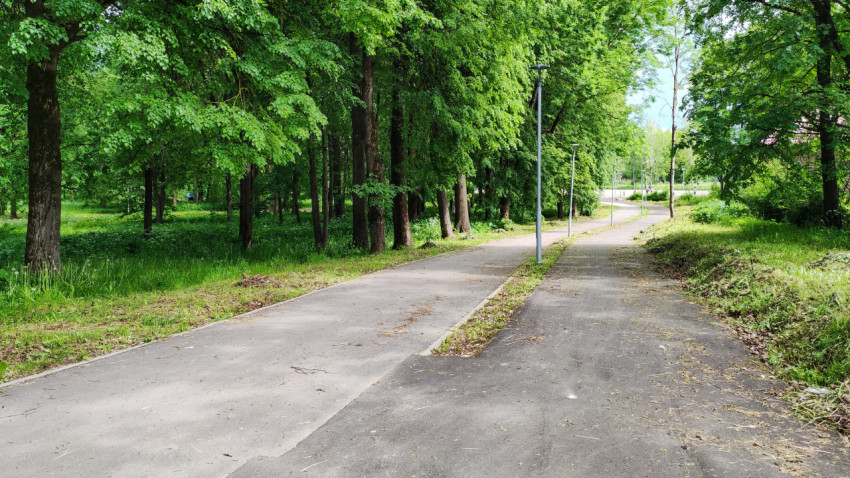 Прогулочная дорожка в лесу