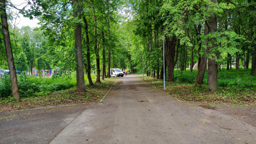 Тихая сцена в парке с зелеными деревьями и машиной