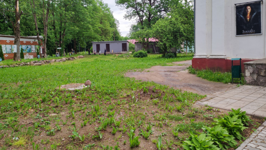 Зеленая растительность в парке рядом с культурным центром