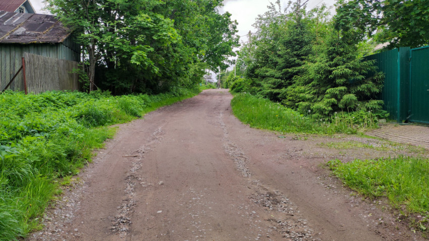 Дорога среди деревьев в пригородной местности