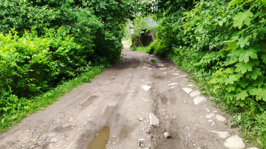 Узкая грунтовая дорога в лесу, окруженная зелеными деревьями