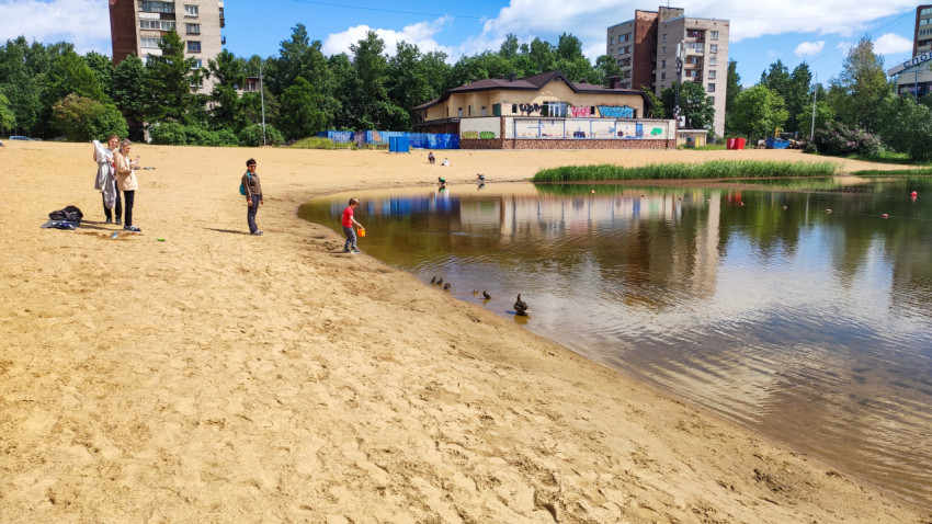 Дети играют на песчаном берегу пруда в солнечный день