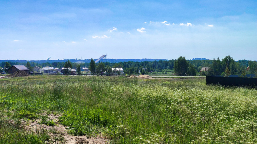 Поле с зелёной травой и деревней на фоне в летний день