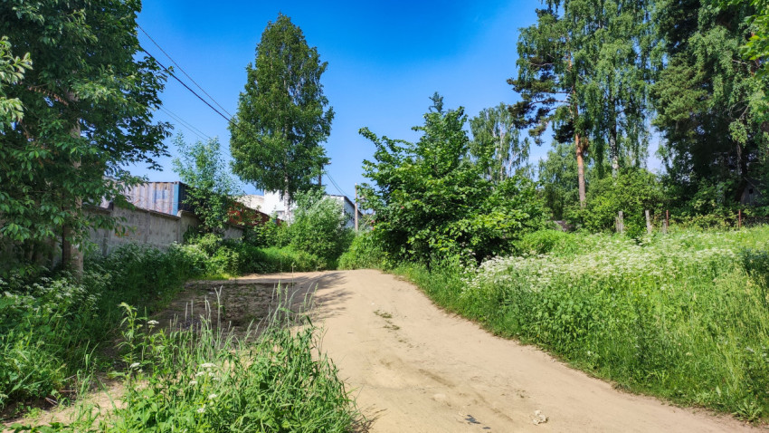 Просёлочная дорога среди зелени в солнечный день