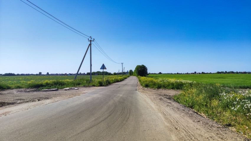 Дорога через зелёные поля в ясный солнечный день