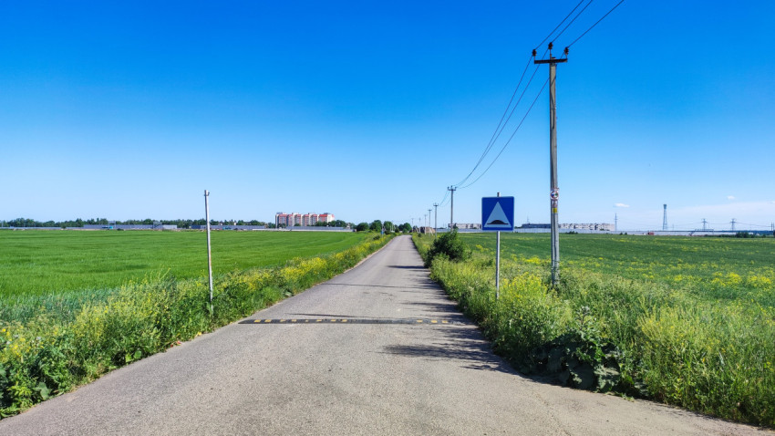 Дорога через поля в погожий день