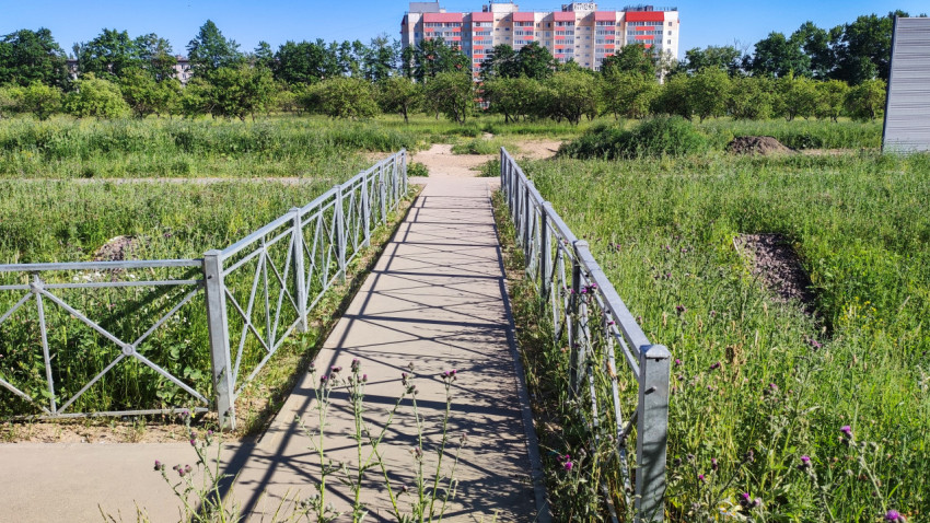 Пешеходная дорожка через зеленое поле в городе под ярким солнцем
