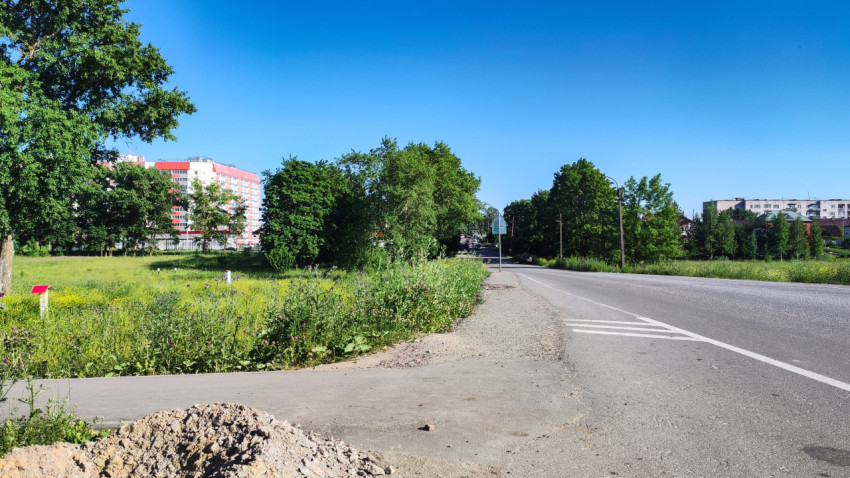 Пейзаж у дороги с зелеными насаждениями и жилыми домами