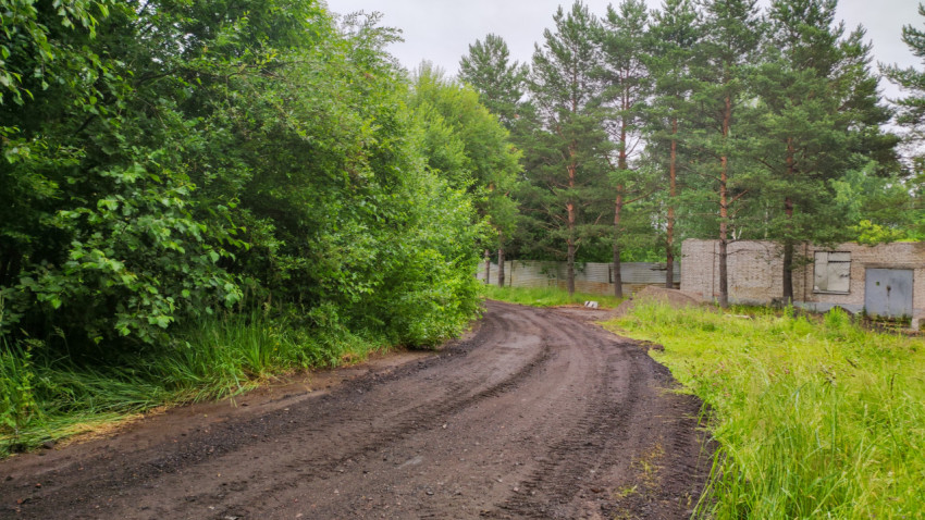 Строительство дороги в деревне летом среди зелени