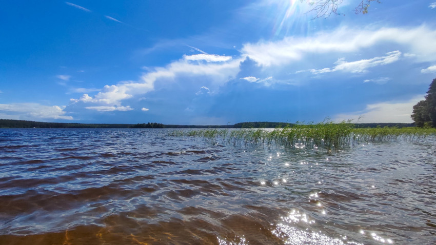 Красивая водная гладь под ясным небом в летний день