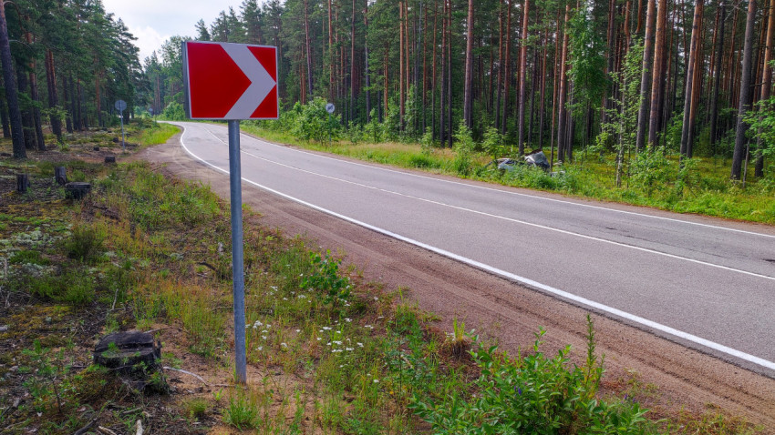 Указатель поворота на лесной дороге