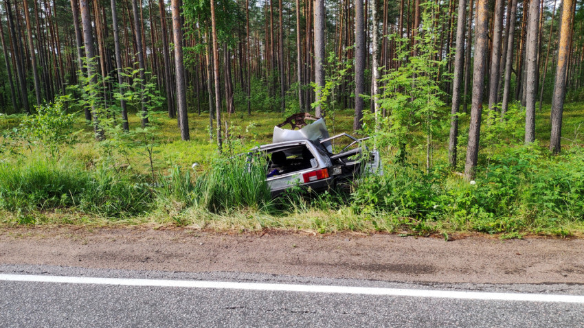 Автомобиль, попавший в кювет после ДТП в лесу