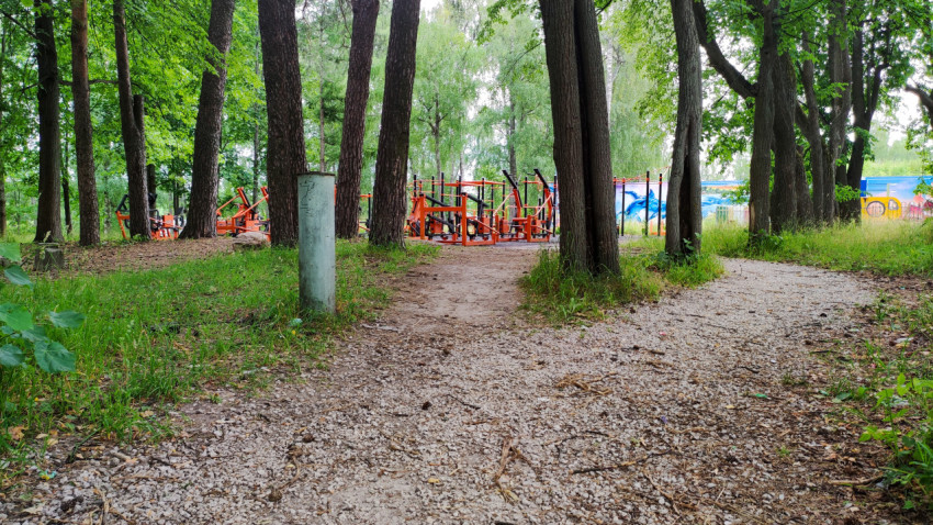 Спортивная площадка в парке, окруженная деревьями и зеленью