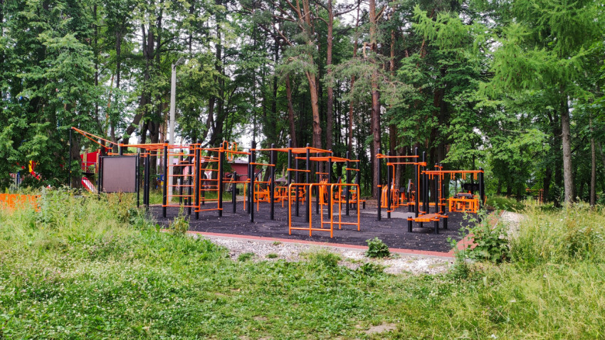 Спортивная площадка в парке в окружении деревьев