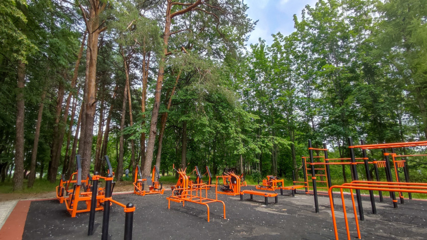 Спортивная площадка среди высоких деревьев в живописном парке