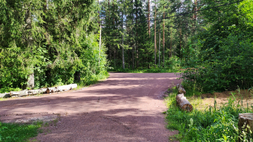 Дорога в лесу, окруженная зеленью и спокойствием природы