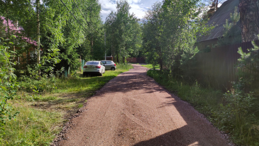 Дорога в деревне с автомобилями и зелеными деревьями в ясный день