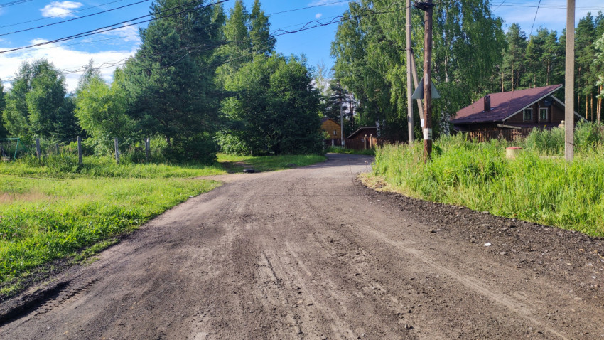 Сельская дорога ведет к тихим домам среди зелени и природы