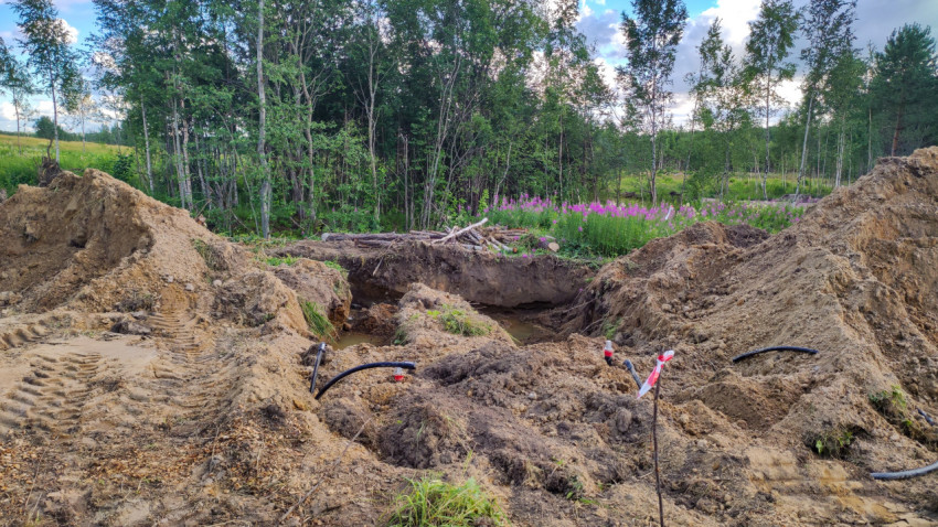 Прокладка инженерных коммуникаций в лесной местности во время летнего дня