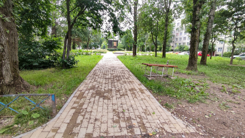 Пешеходная дорожка в городском парке с зелеными деревьями