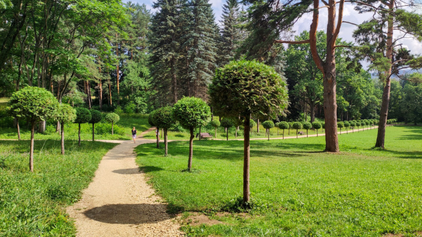 Прогулка по парку в Кисловодске с ухоженными аллеями и зелеными деревьями