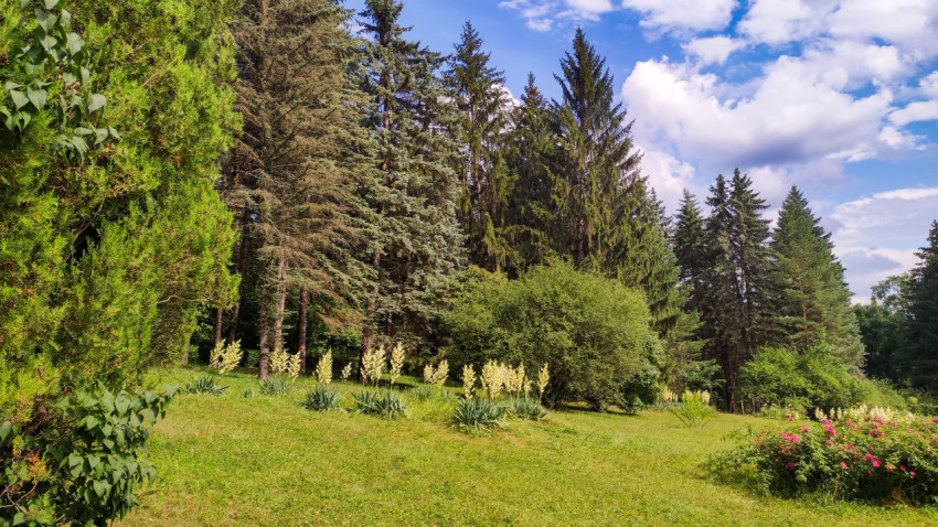 Природа Кисловодского парка