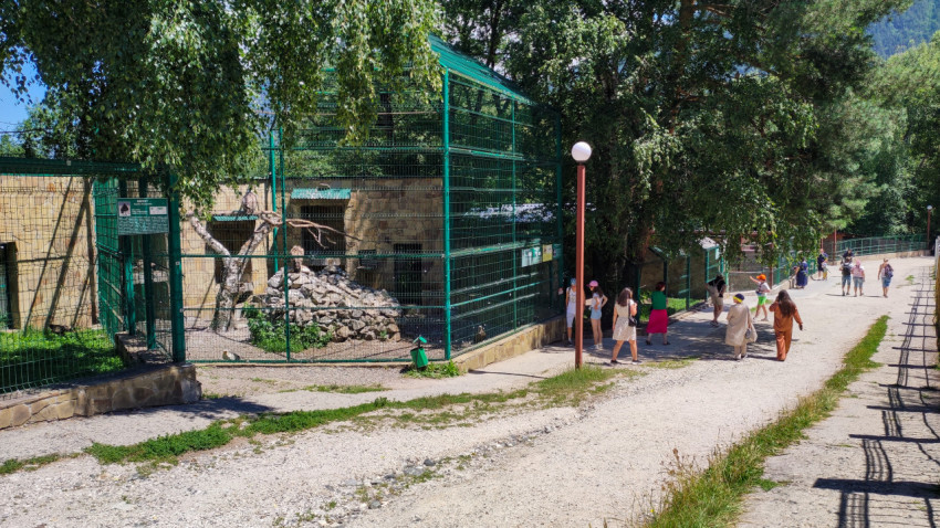 Вольеры с птицами в Тебердинском природном заповеднике