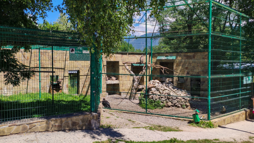 Вольеры с хищными птицами в зоопарке