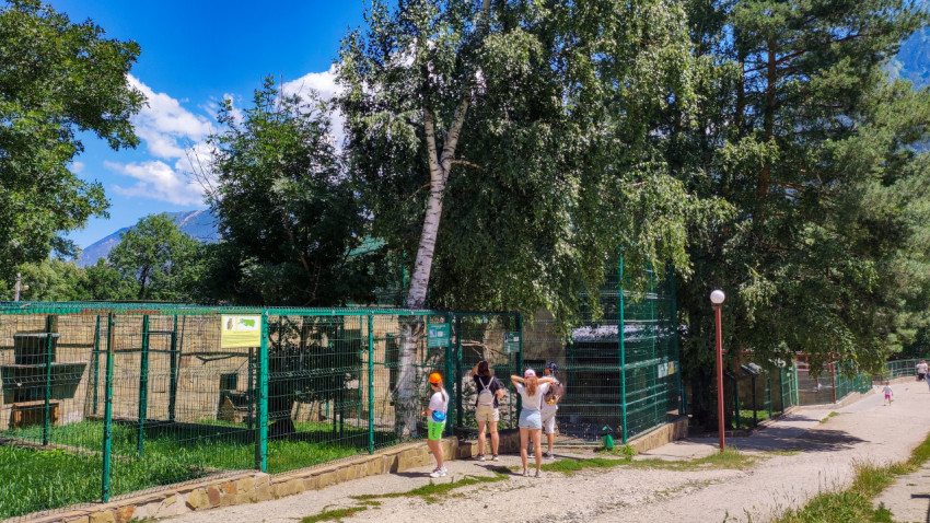 Посетители в вольерах Тебердинского заповедника