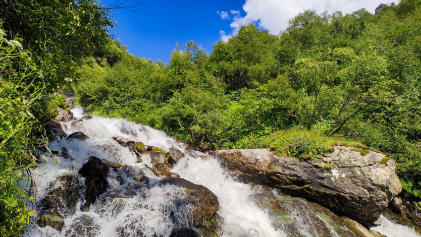 Кристально чистый водопад среди зелёных деревьев в горах