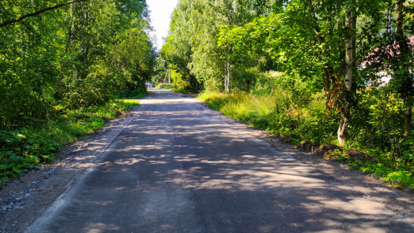 Свежеуложенная дорога, окруженная деревьями и травой