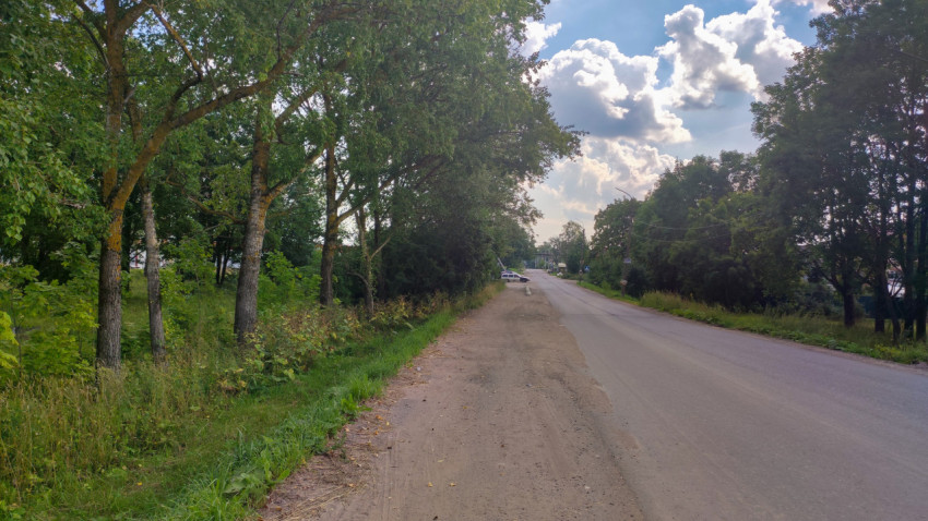 Дорога с деревьями по обеим сторонам и облачным небом