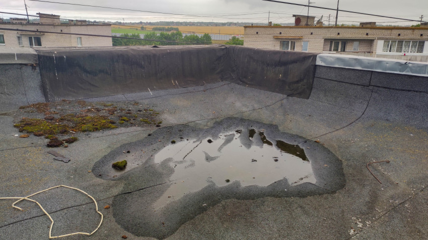 Лужа на старой битумной крыше с мхом