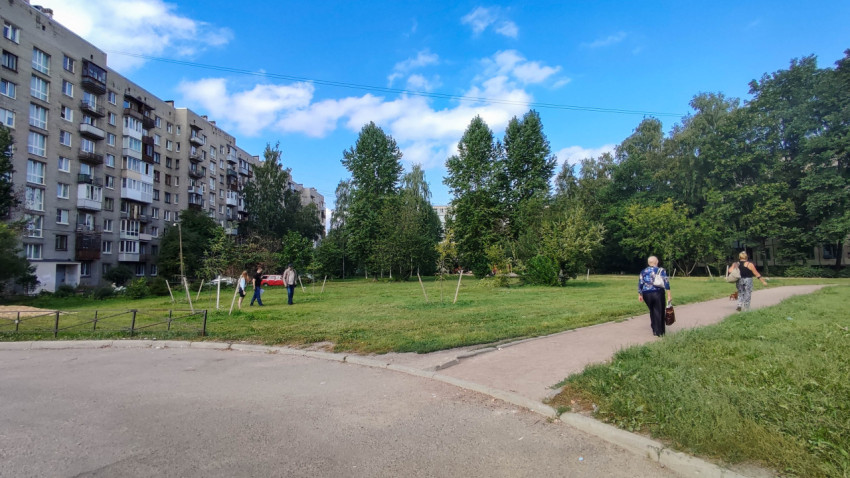 Городской двор с зелеными насаждениями и пешеходными дорожками