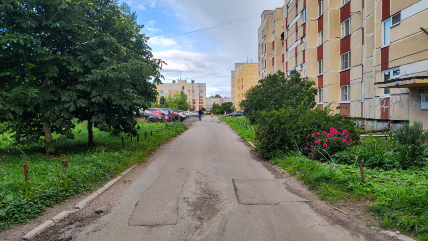 Двор с асфальтированной дорогой, зелеными насаждениями и парковкой