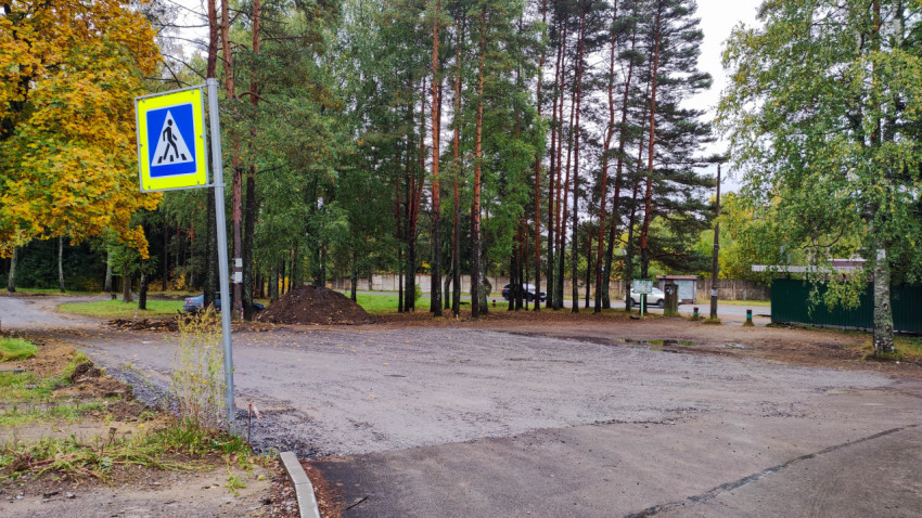 Ремонт дороги возле лесной зоны
