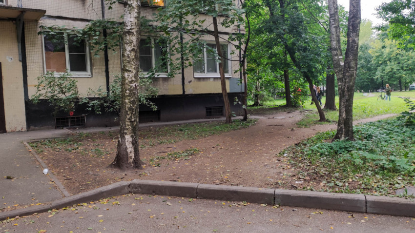 Придомовая территория с деревьями и тропинкой возле жилого дома