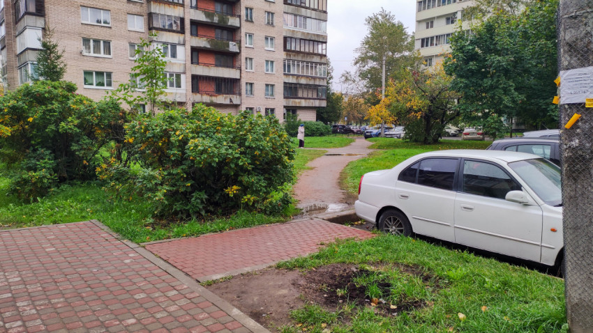 Дворовая территория с тротуарной плиткой и зелёными насаждениями