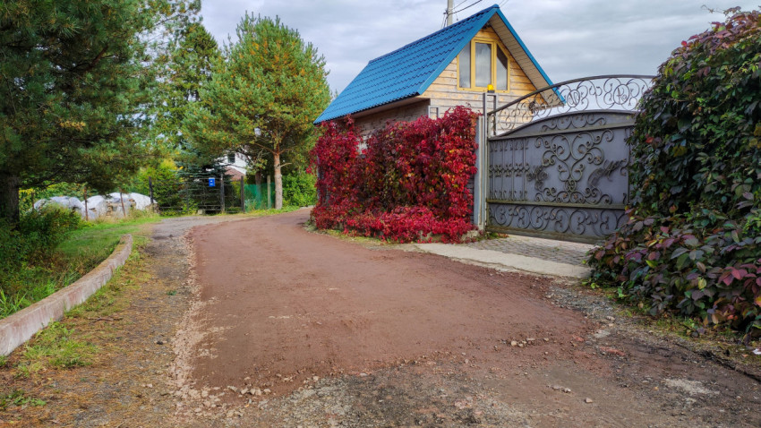 Дом с синей металлической крышей и виноградной изгородью у грунтовой дороги