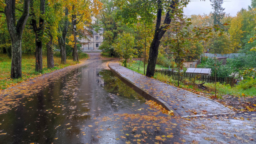 Осенняя аллея с лужами после дождя